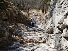 Klik za večjo sliko